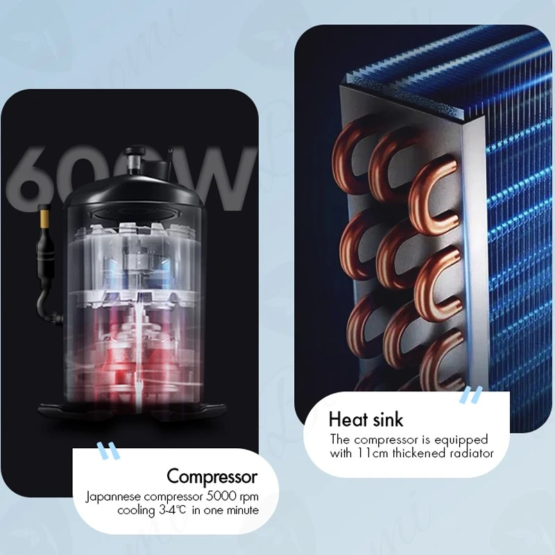 product-800-800
